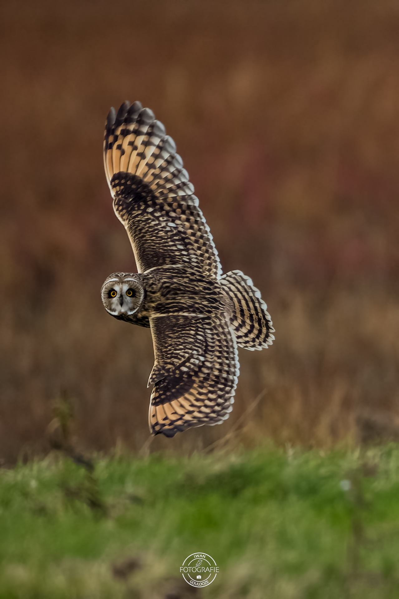 16 oktober 2022 172650 1R2A4912 bewerkt